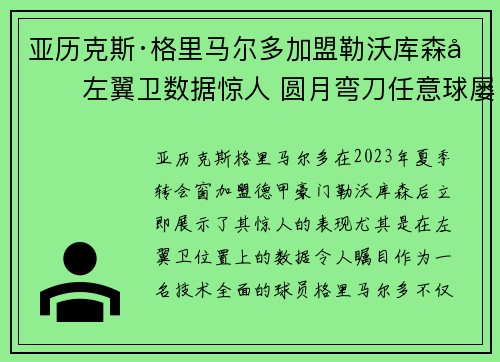 亚历克斯·格里马尔多加盟勒沃库森后左翼卫数据惊人 圆月弯刀任意球屡次救主 亚历克斯·格里马尔多加盟勒沃库森后左翼卫数据惊人 圆月弯刀任意球屡次救主